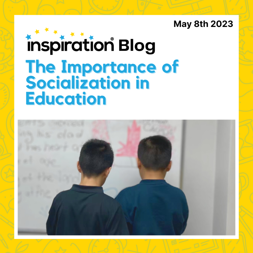 The Importance of Socialization in Education