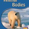PM Science Facts Yellow/Blue Animal Bodies Lvl 8-9
