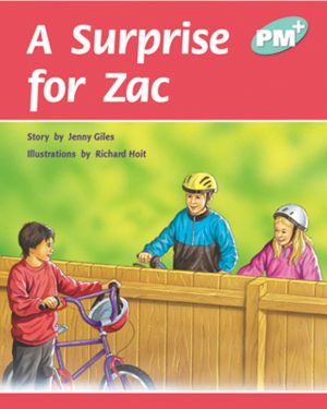 PM Plus Turquoise A Surprise for Zack Lvl 17