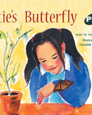 PM Plus Green Katie's Butterfly Lvl 14