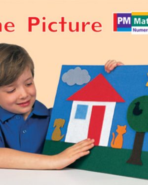 PM Math Magenta/Red One Picture Lvl 2: PM Math: Magenta/ Red