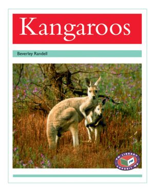 PM Library Turquoise Bird's-Eye View Lvl 18: PM Library: Turquoise