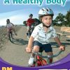 PM Writing Purple/Gold A Healthy Body Lvl 19-21: A Healthy Body (6-pack)