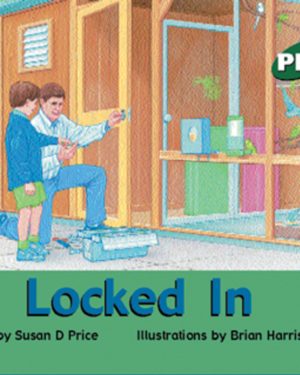 PM Plus Green Locked In Lvl 13: PM Plus: Green