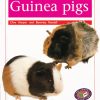 PM Library Orange Guinea Pigs Lvl 14-15