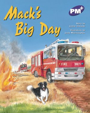 PM Plus Purple Mack's Big Day Lvl 20