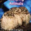 JillE Literacy Magenta Non-Fiction | Sleeping Animals Non-Fiction Set (8-Pack) - 9780176925758
