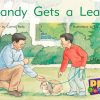 PM Gems Red Sandy Gets a Lead Lvl 6: PM Gems: Yellow