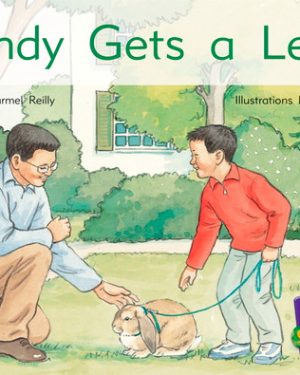 PM Gems Red Sandy Gets a Lead Lvl 6: PM Gems: Yellow