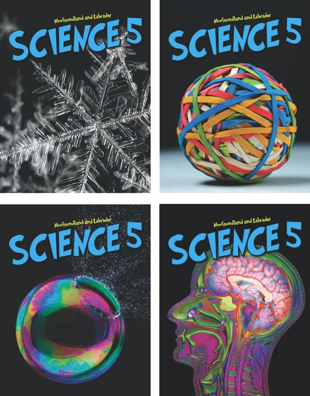 vvv Newfoundland and Labrador Science 5 (12 Month Online Subscription) - Image 1