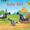 New! PM Library Magenta Baby Bird 2-3 (B-C) 6-Pack