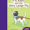 PM Early Chapters Purple Pickles and the Very Large Fly Lvl 19