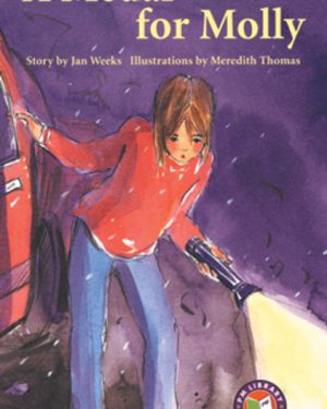 PM Library Emerald A Medal for Molly Lvl 26