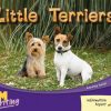 PM Writing Red/Yellow Little Terriers Lvl 5-6: Little Terriers (6- pack)