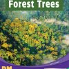 PM Writing Emerald Forest Trees Lvl 25-26: Forest Trees (6-pack)