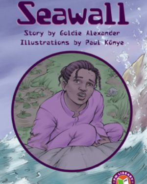 PM Library Ruby Seawall Lvl 27: PM Library: Ruby