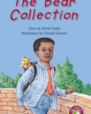 PM Library Ruby The Bear Collection Lvl 28: PM Library: Ruby