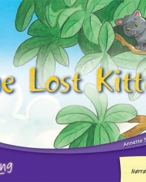 PM Writing Green/Orange Lost Kitten, The Lvl 14-15: Lost Kitten, The (6- pack)