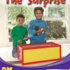 PM Writing Orange/Turquoise The Surprise Lvl 16-17: The Surprise (6-pack)