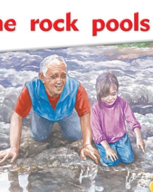 PM Library Magenta The Rock Pools Lvl 2: PM Library: Magenta