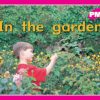 PM Plus Magenta In the Garden Lvl 1: PM Plus: Magenta