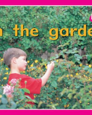 PM Plus Magenta In the Garden Lvl 1: PM Plus: Magenta