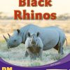 PM Writing Purple/Gold Black Rhinos Lvl 19-22: Black Rhinos (6-pack)