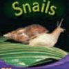 PM Writing Purple/Gold Snails Lvl 19-24: Snails (6-pack)