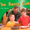 PM Photo Stories Blue The Berry Cake Lvl 9-11: PM Photo Stories: Blue