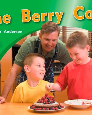 PM Photo Stories Blue The Berry Cake Lvl 9-11: PM Photo Stories: Blue