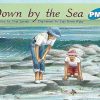 PM Plus Blue Down by the Sea Lvl 11: PM Plus: Blue