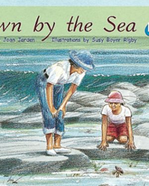 PM Plus Blue Down by the Sea Lvl 11: PM Plus: Blue