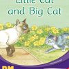 PM Writing Red/Yellow Little Cat and Big Cat Lvl 5-6: Little Cat and Big Cat (6-pack)