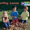 PM Math Magenta/Red Sorting Leaves Lvl 3-4: PM Math: Magenta/ Red