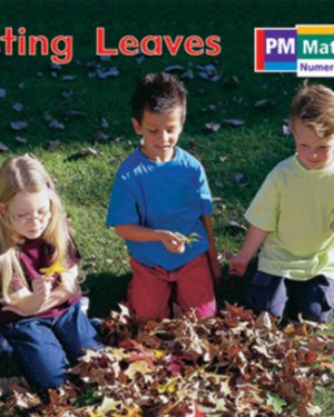 PM Math Magenta/Red Sorting Leaves Lvl 3-4: PM Math: Magenta/ Red