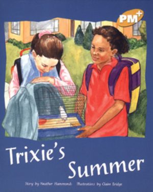 PM Plus Gold Trixie's Summer Lvl 21: PM Plus: Gold