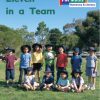 PM Math Blue/Green Eleven in a Team Lvl 13-14: PM Math: Blue/ Green