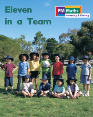 PM Math Blue/Green Eleven in a Team Lvl 13-14: PM Math: Blue/ Green