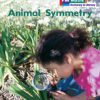 PM Math Blue/Green Animal Symmetry Lvl 13-14: PM Math: Blue/ Green