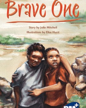 PM Plus Sapphire Brave One Lvl 30