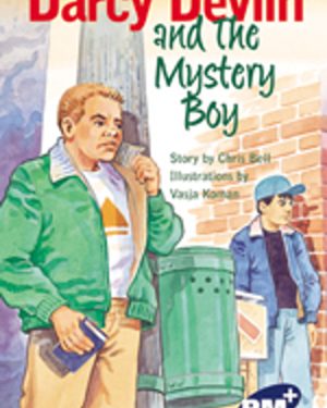 PM Plus Sapphire Fiction Lvl 29-30 Single Copy Set