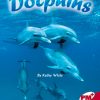PM Plus Ruby Dolphins Lvl 27: PM Plus: Ruby
