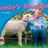 PM Photo Stories Yellow Lamby's Breakfast Lvl 6: PM Photo Stories: Yellow