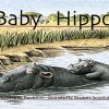 PM Library Yellow Baby Hippo Lvl 6