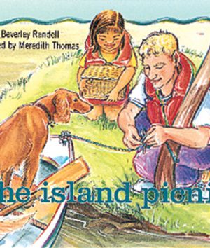 PM Library Green The Island Picnic Lvl 14
