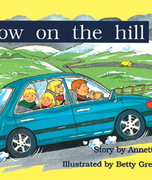 PM Library Green Snow on the Hill Lvl 13