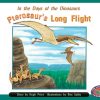 PM Library Orange Pterosaur's Long Flight Lvl 15