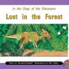 PM Library Orange Lost in the Forest Lvl 16