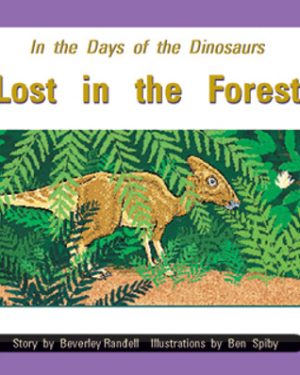 PM Library Orange Lost in the Forest Lvl 16