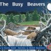 PM Library Orange The Busy Beavers Lvl 16